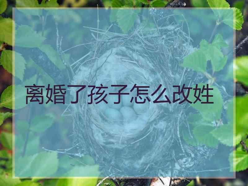 离婚了孩子怎么改姓