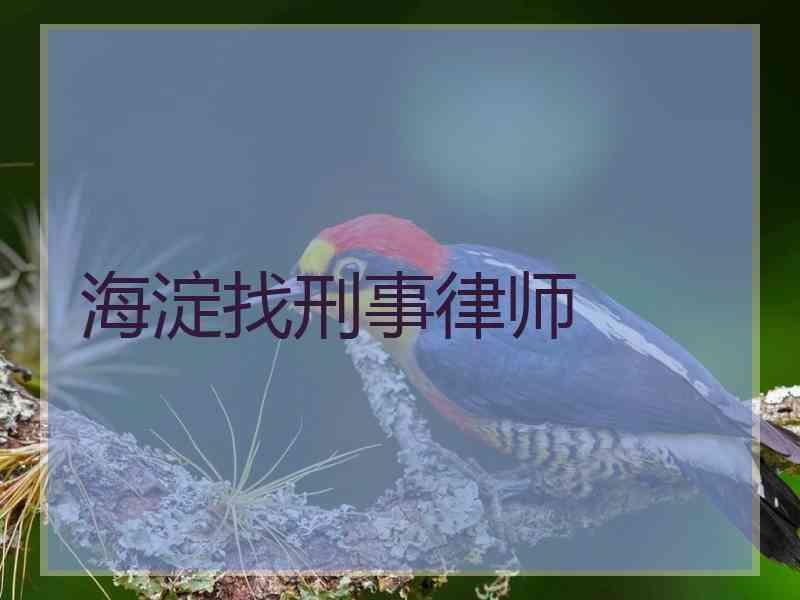 海淀找刑事律师