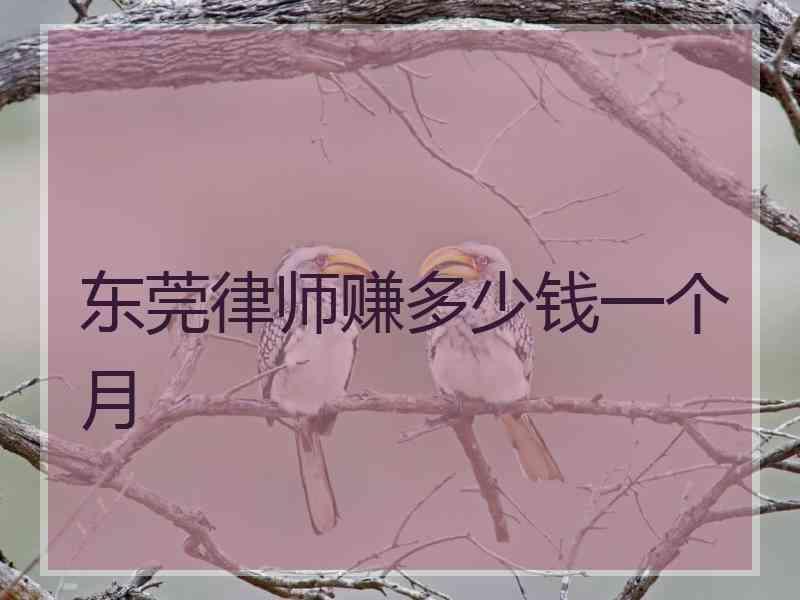 东莞律师赚多少钱一个月