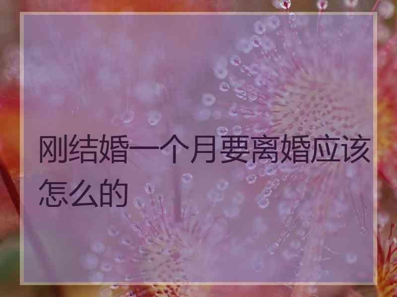 刚结婚一个月要离婚应该怎么的