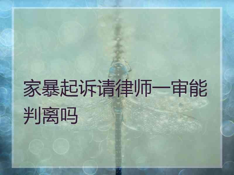 家暴起诉请律师一审能判离吗