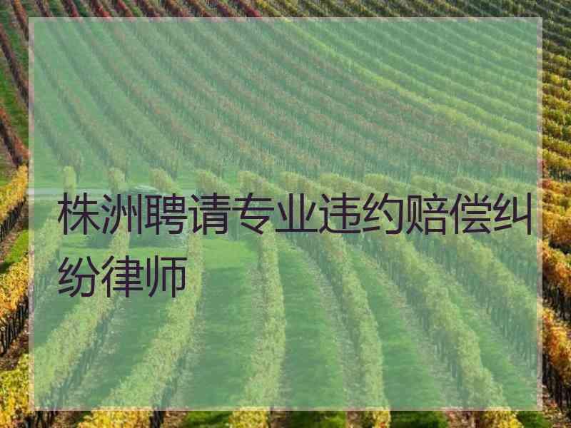 株洲聘请专业违约赔偿纠纷律师