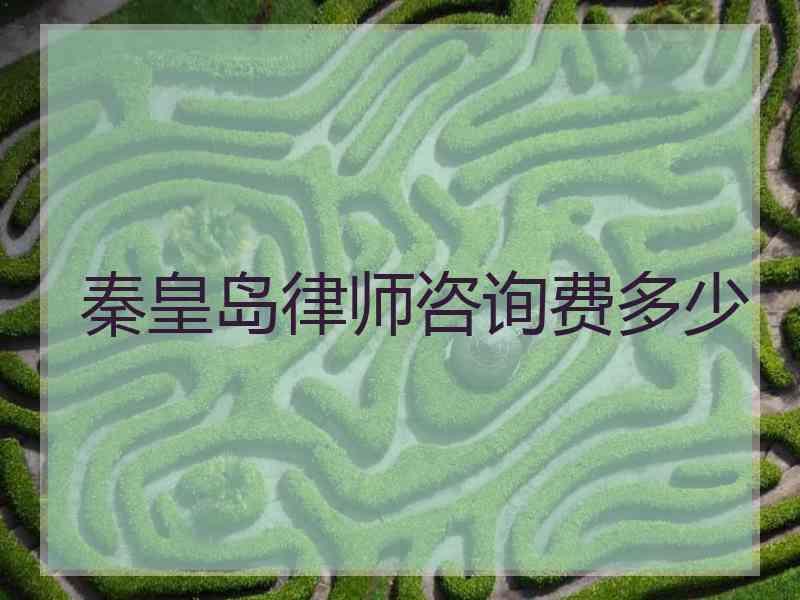 秦皇岛律师咨询费多少