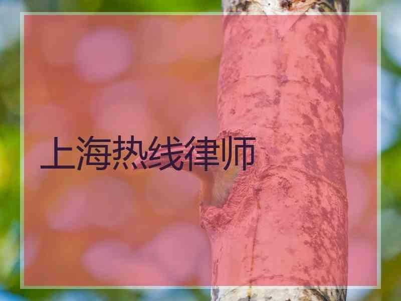 上海热线律师