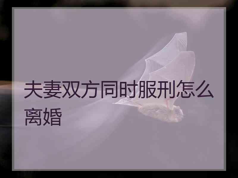 夫妻双方同时服刑怎么离婚