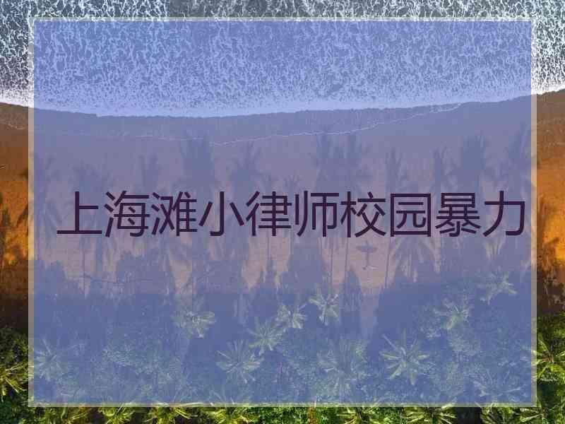 上海滩小律师校园暴力