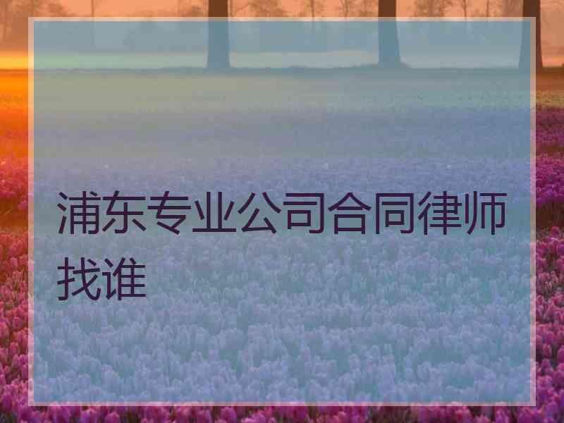 浦东专业公司合同律师找谁 浦东专业公司合同律师找谁