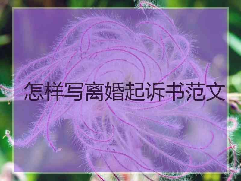 怎样写离婚起诉书范文