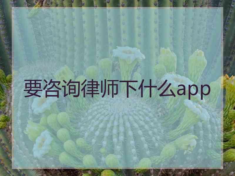 要咨询律师下什么app