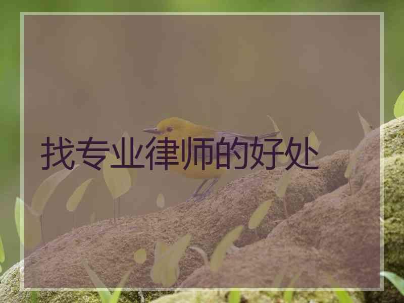 找专业律师的好处