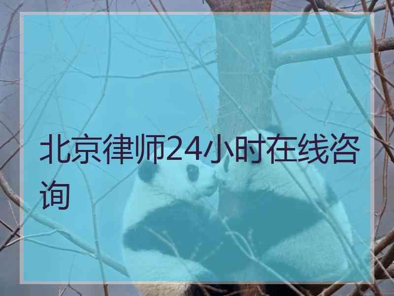 北京律师24小时在线咨询