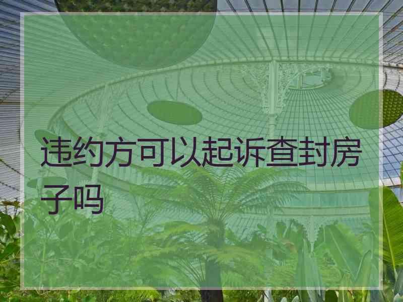 违约方可以起诉查封房子吗