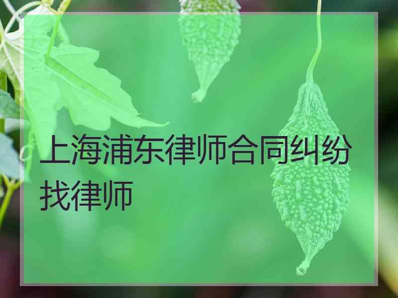 上海浦东律师合同纠纷找律师