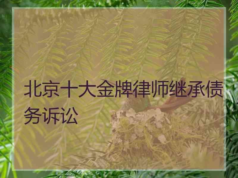 北京十大金牌律师继承债务诉讼