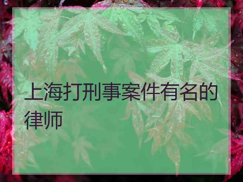 上海打刑事案件有名的律师