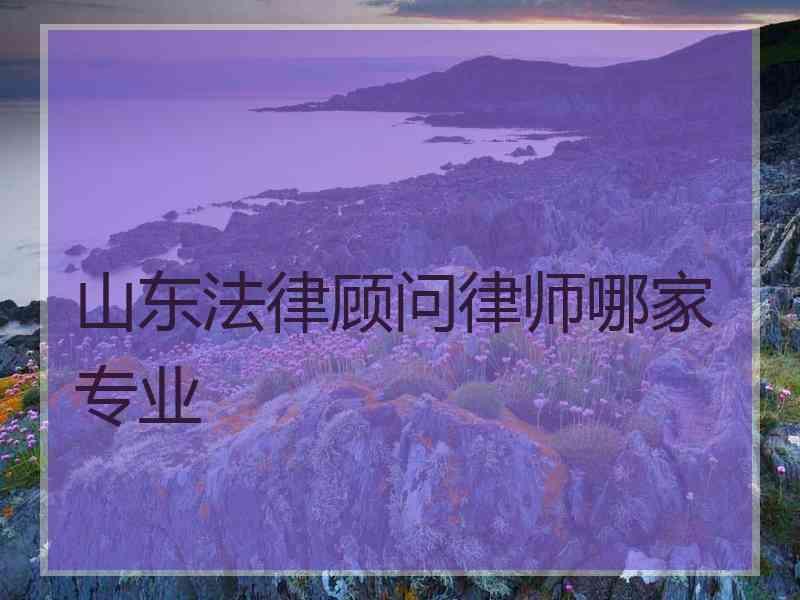 山东法律顾问律师哪家专业