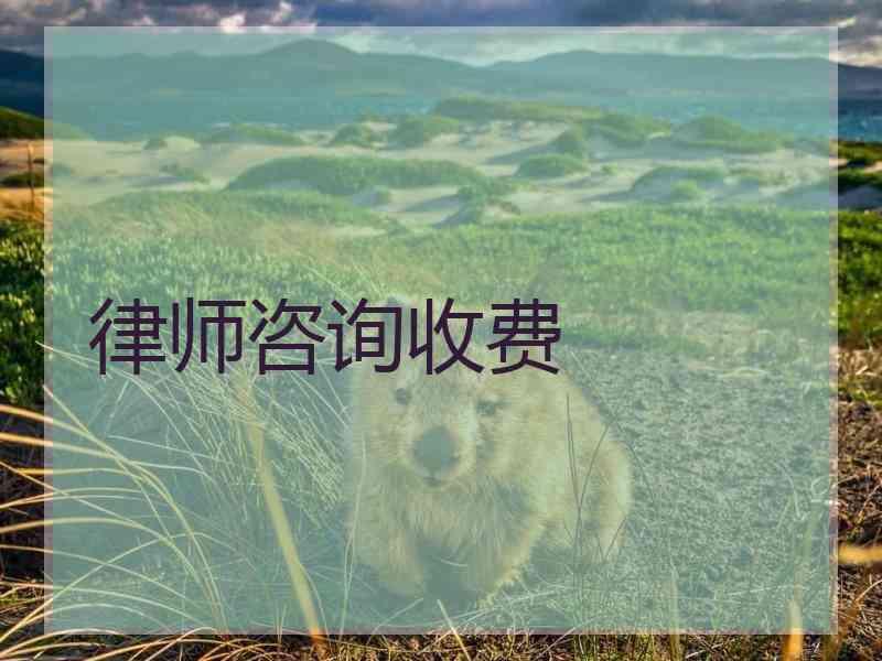 律师咨询收费