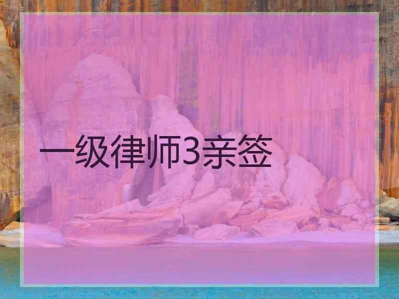 一级律师3亲签