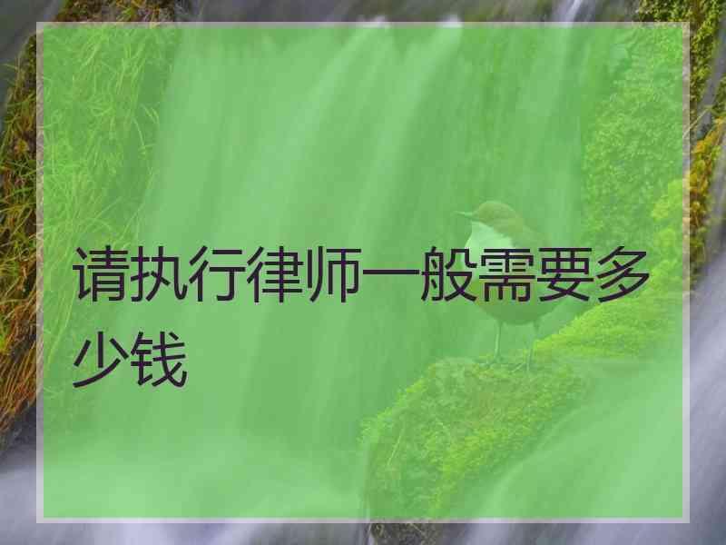 请执行律师一般需要多少钱