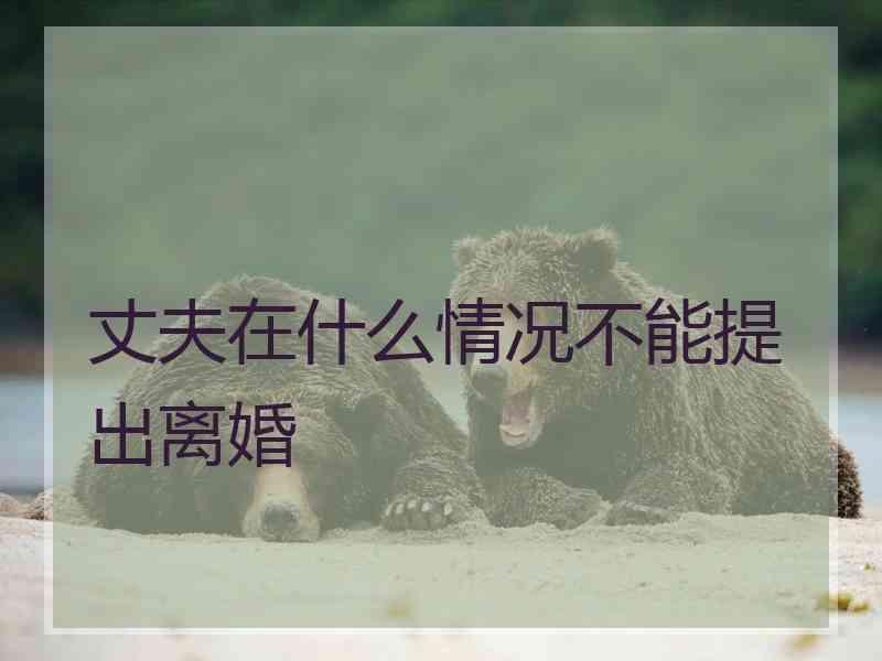 丈夫在什么情况不能提出离婚