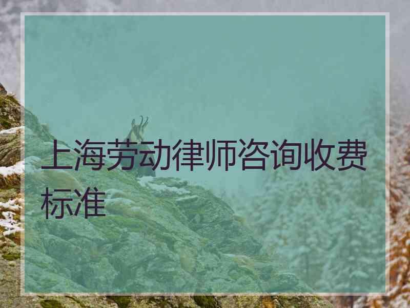 上海劳动律师咨询收费标准