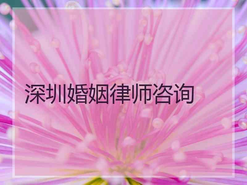 深圳婚姻律师咨询