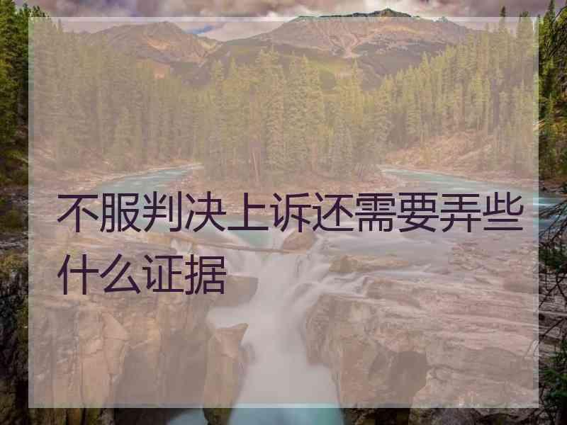 不服判决上诉还需要弄些什么证据