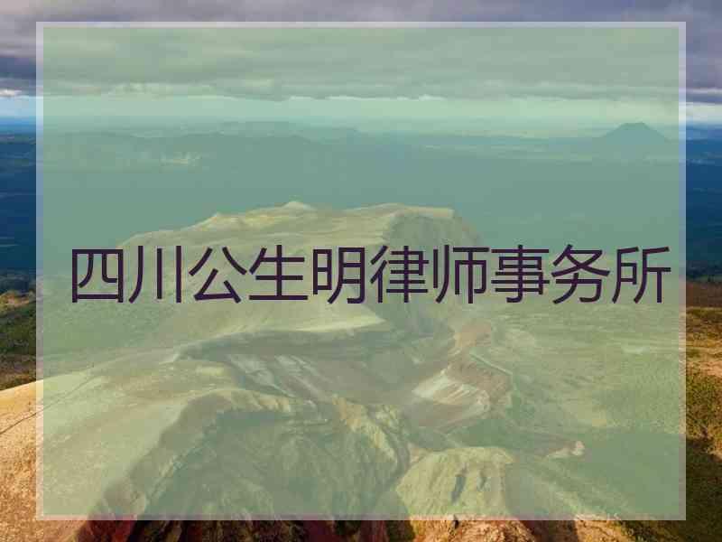 四川公生明律师事务所
