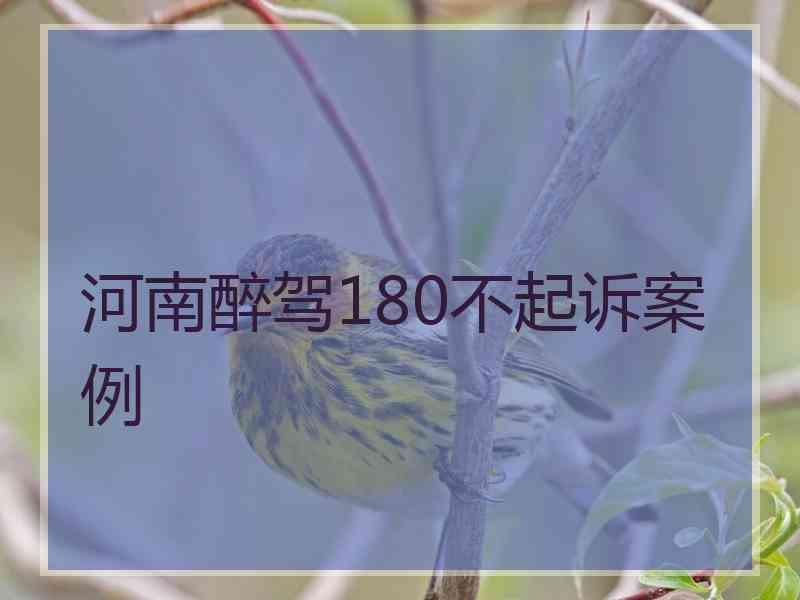 河南醉驾180不起诉案例