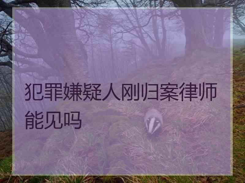 犯罪嫌疑人刚归案律师能见吗