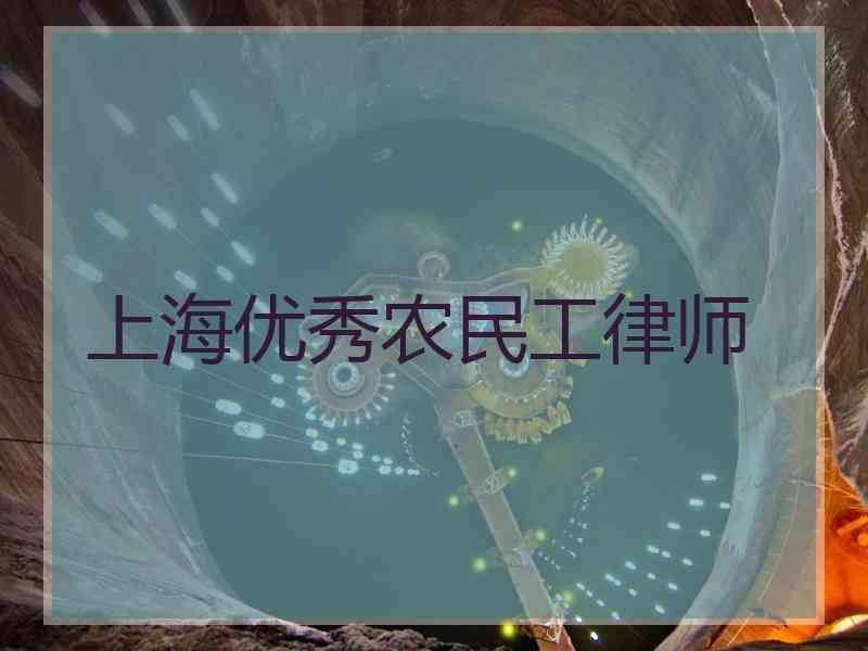 上海优秀农民工律师