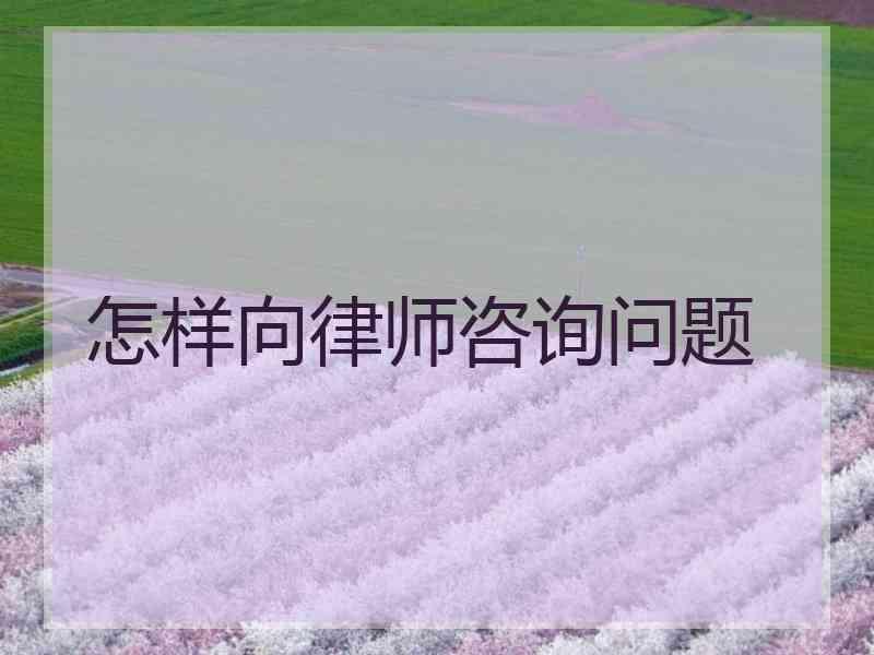 怎样向律师咨询问题