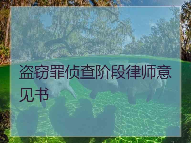 盗窃罪侦查阶段律师意见书