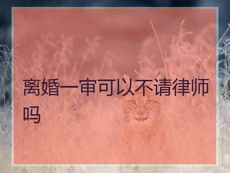 离婚一审可以不请律师吗