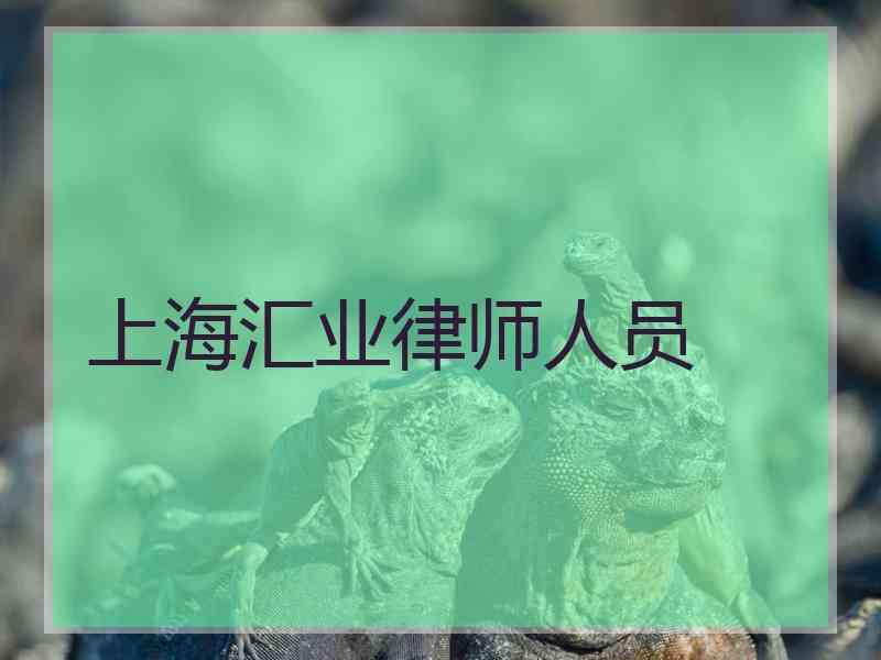 上海汇业律师人员