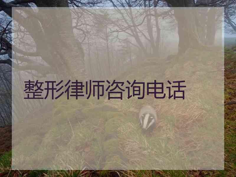 整形律师咨询电话