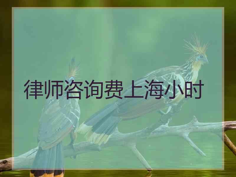 律师咨询费上海小时