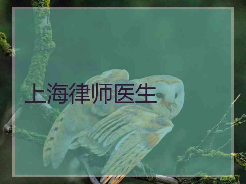 上海律师医生