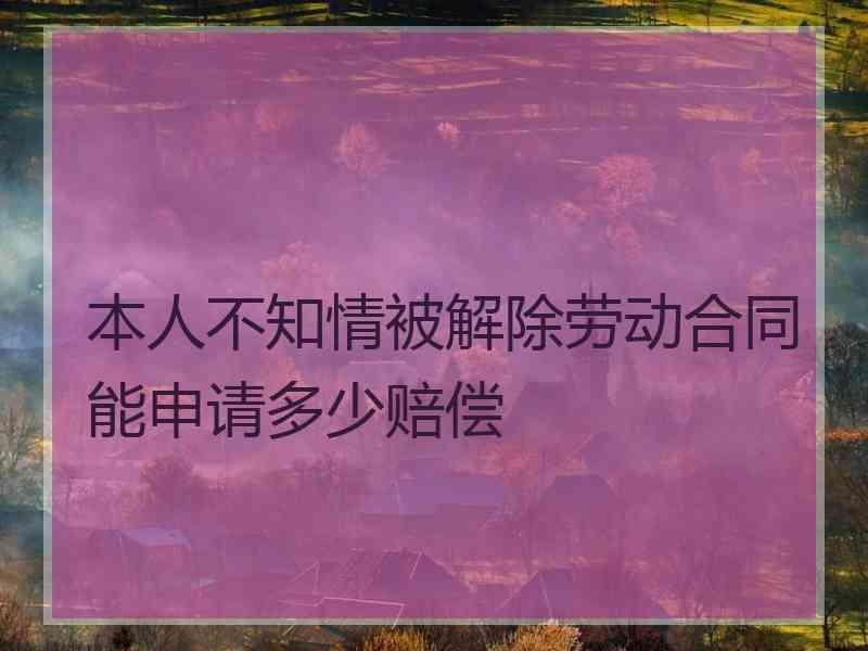 本人不知情被解除劳动合同能申请多少赔偿