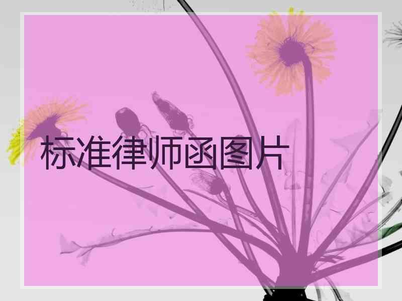 标准律师函图片