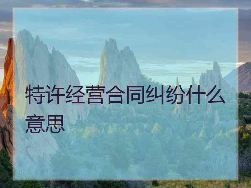 特许经营合同纠纷什么意思