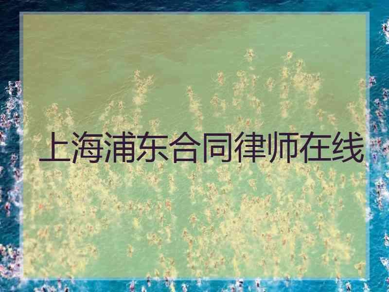 上海浦东合同律师在线