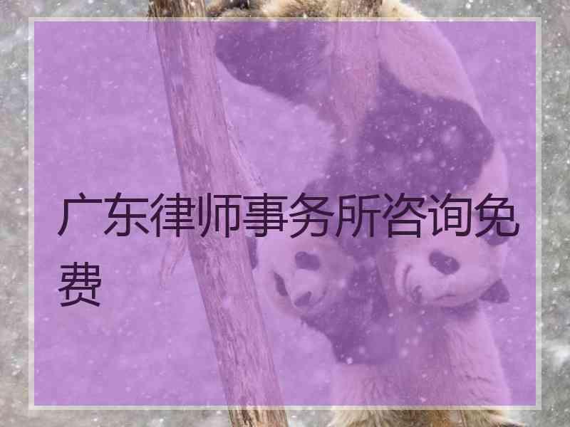 广东律师事务所咨询免费