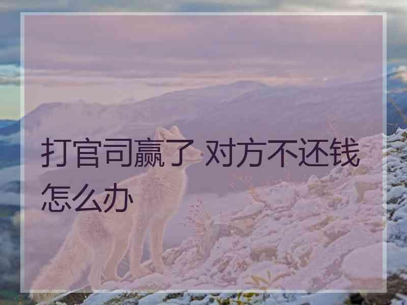 打官司赢了 对方不还钱怎么办