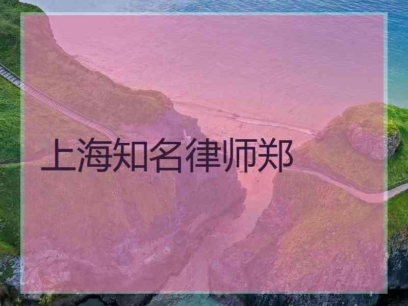上海知名律师郑
