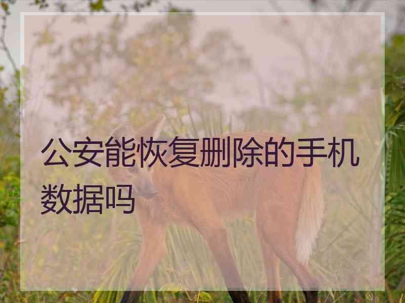 公安能恢复删除的手机数据吗