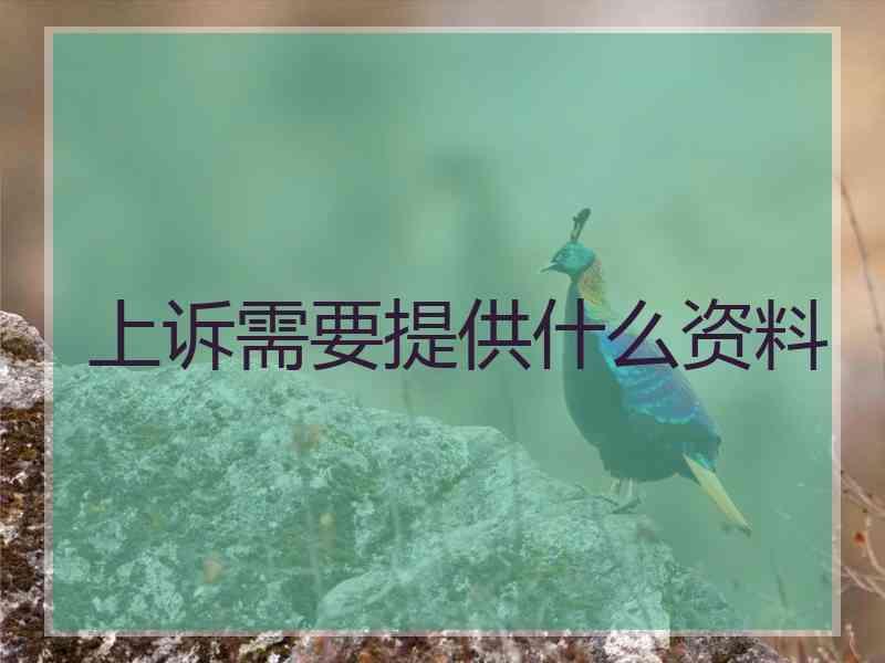 上诉需要提供什么资料