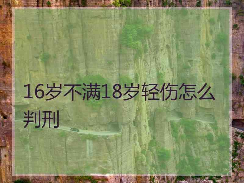 16岁不满18岁轻伤怎么判刑