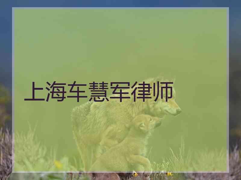 上海车慧军律师