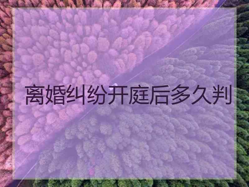 离婚纠纷开庭后多久判